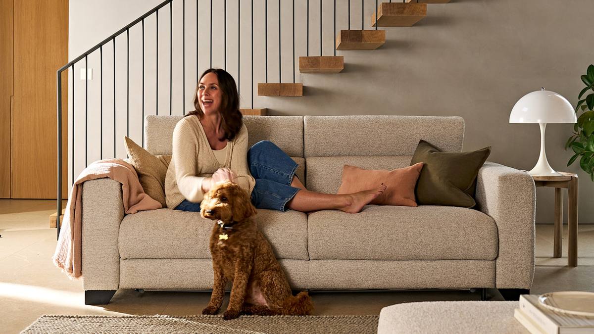 alpaca acorn swan sofa bed with a woman and dog